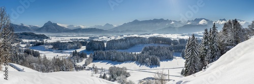 Fototapeta Naklejka Na Ścianę i Meble -  panoramic landscape at winter with alps mountains in Bavaria