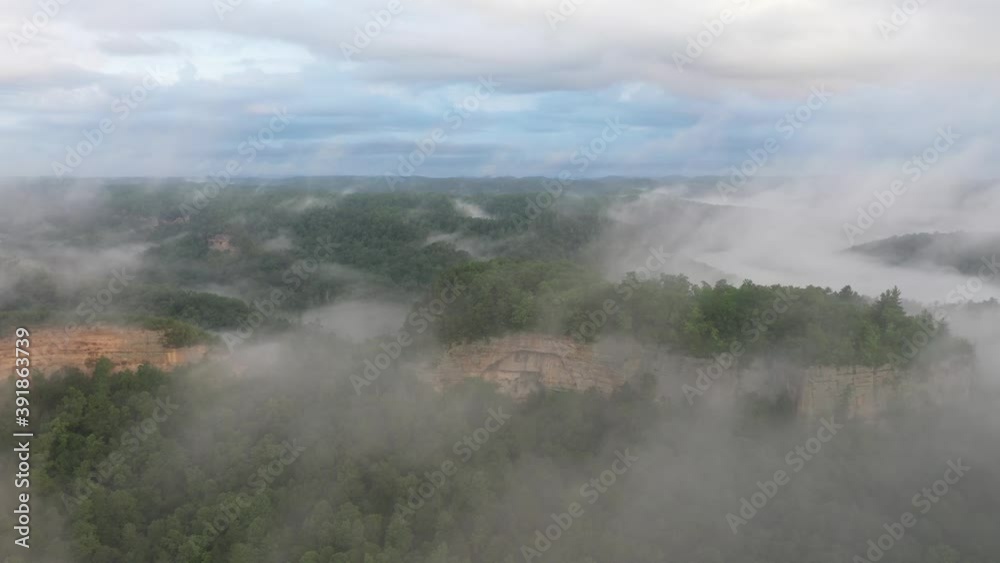 Foggy Misty Drone Flight Over the Red River Gorge Forest and Mountains Kentucky Foggy Misty Drone Flight Over the Red River Gorge Forest and Mountains Kentucky