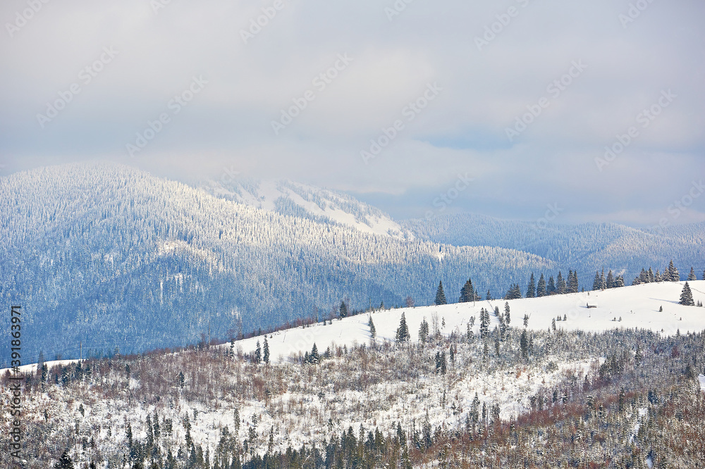 Morning winter landscape overlooking a beautiful mountain. European nature in winter