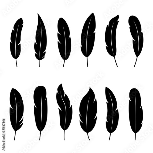 Set of black silhouettes of feathers on white background, vector illustration