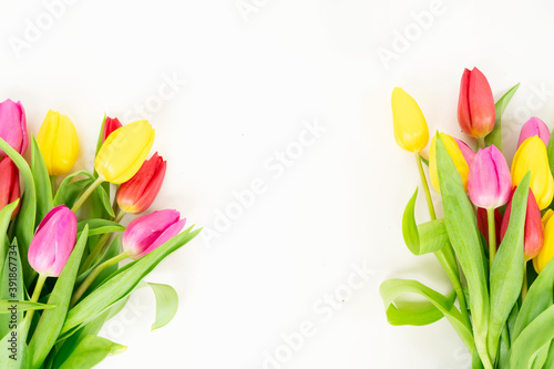 Fototapeta Naklejka Na Ścianę i Meble -  Pink, yeelow and violet tulips flowers