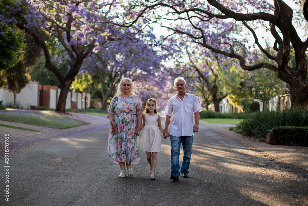 Little girl with grandparents walking down the street