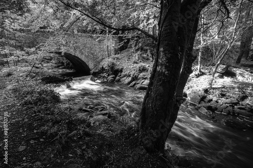Torc Waterfall, County Kerry, Ireland