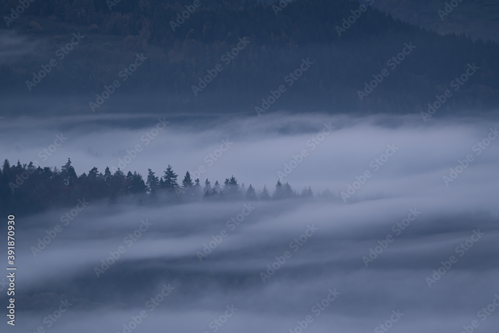 Fog during the blue hour in the black forest