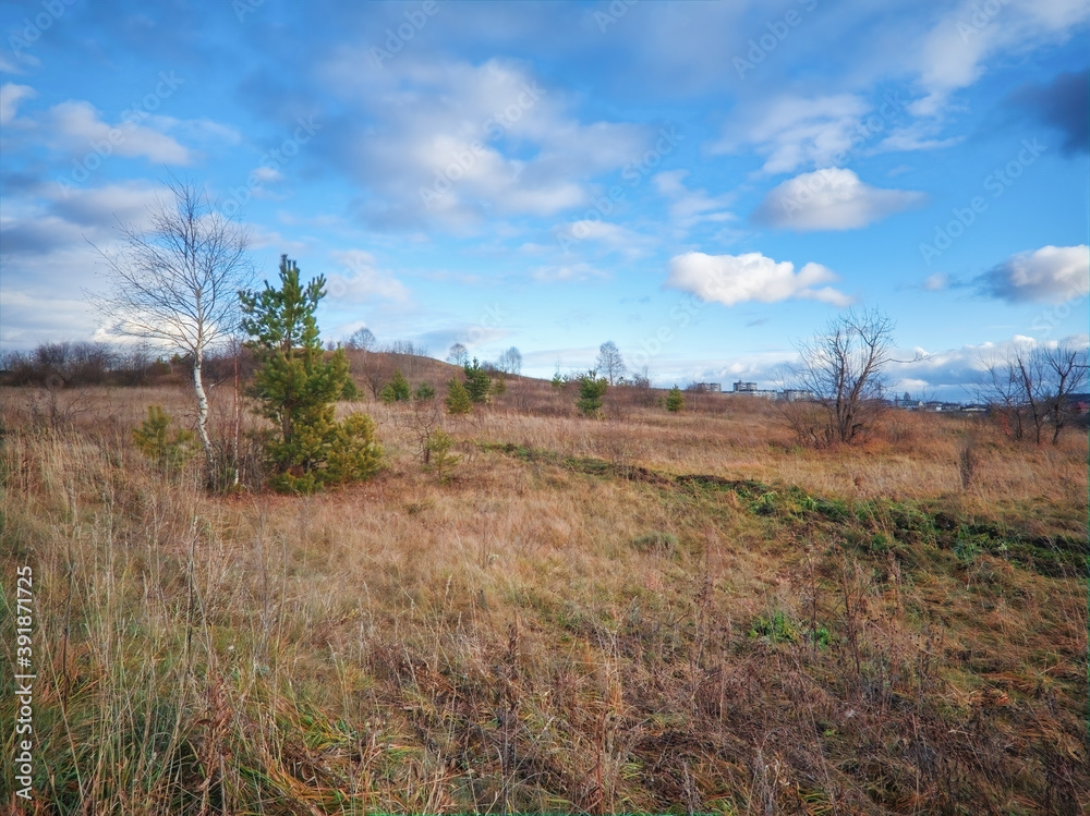Autumn landscape meadow with yellowed grass against the background of forest foliage, mountains and a beautiful sunset sky. Autumn landscape meadow with yellowed grass against the background of forest foliage, mountains and a beautiful sunset sky.