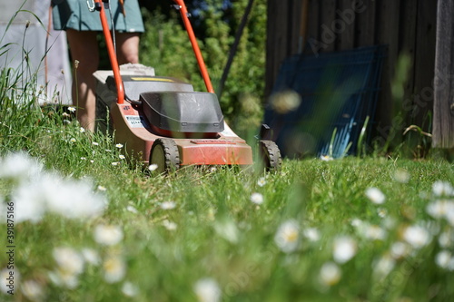 Rasen mähen im Frühling