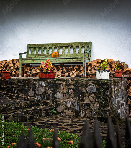 Green rustic bench in the g...