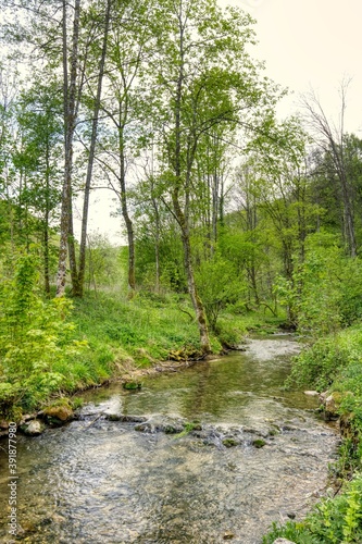 The stream  Fils  flows through the forest of the Swabian Alb