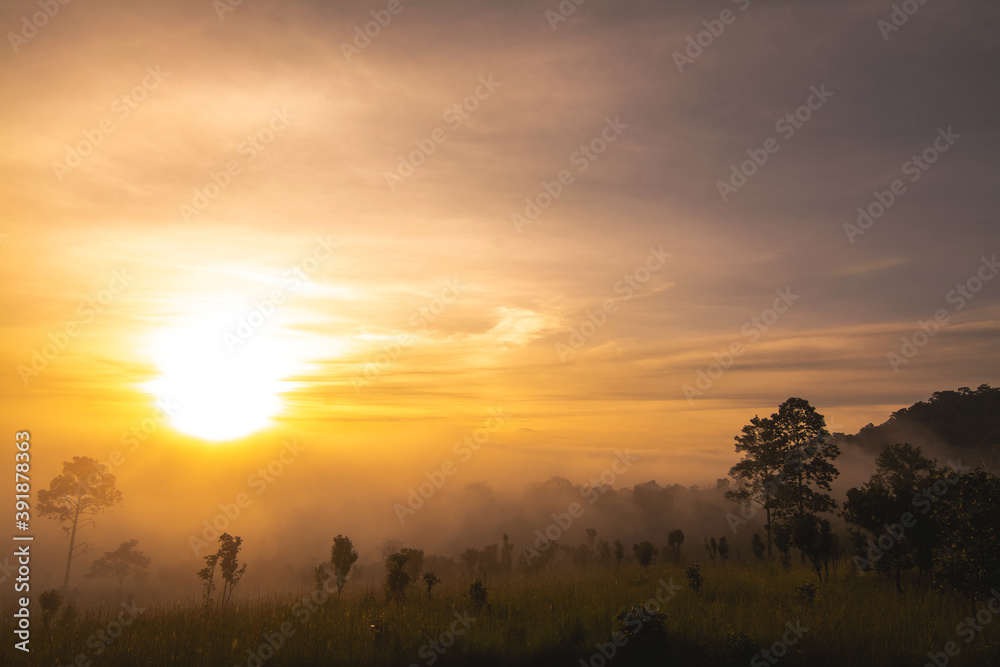 Landscape of Grassland and trees in Thung Salaeng Luang National Park Phetchabun province Thailand.