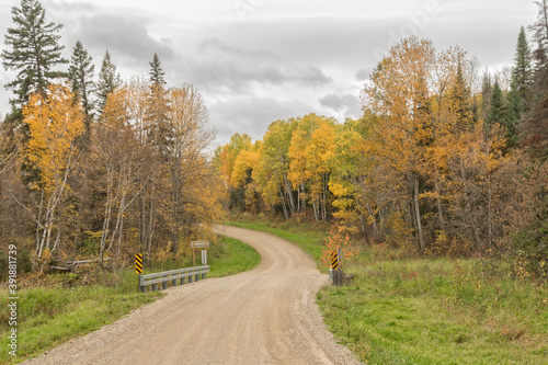 winding country road through the forrest in fall season