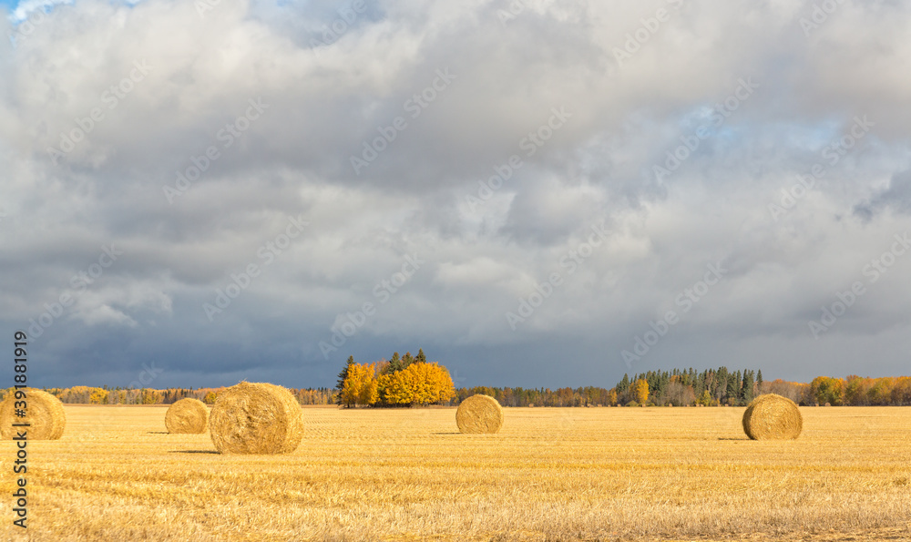 hay bales against a cloudy sky with bright sunlight