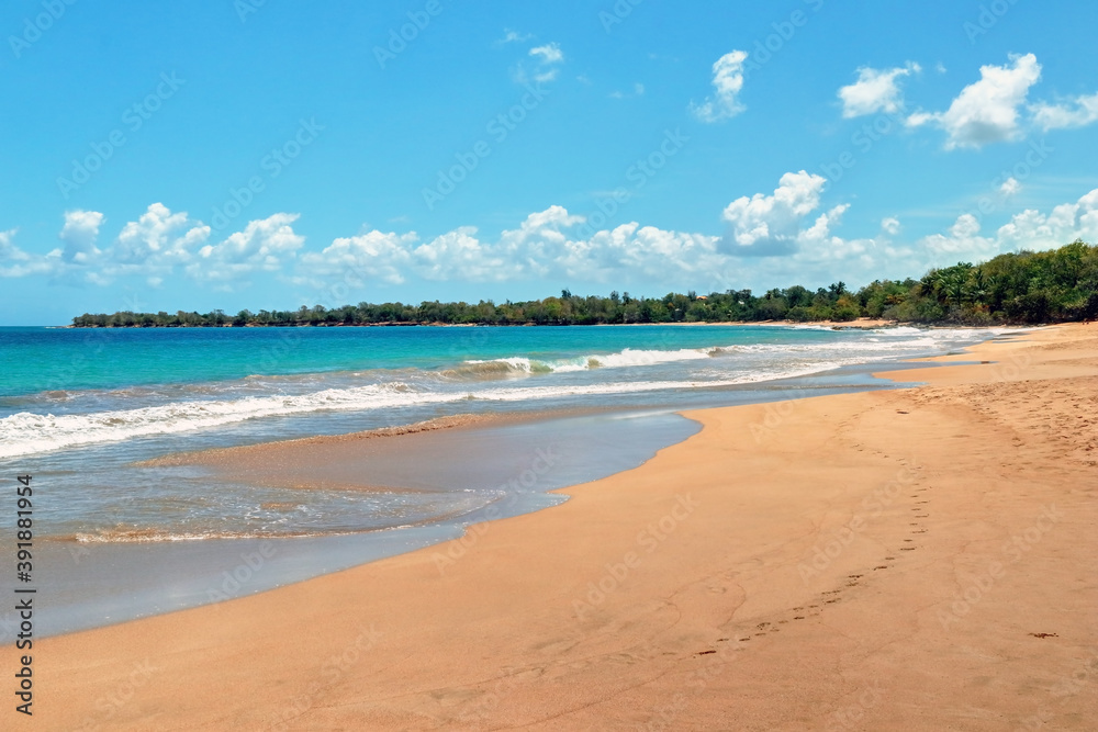 Guadeloupe Deshaies la plage de la grande anse