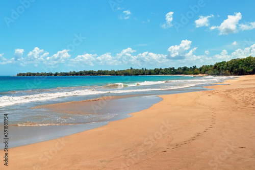 Guadeloupe Deshaies la plage de la grande anse