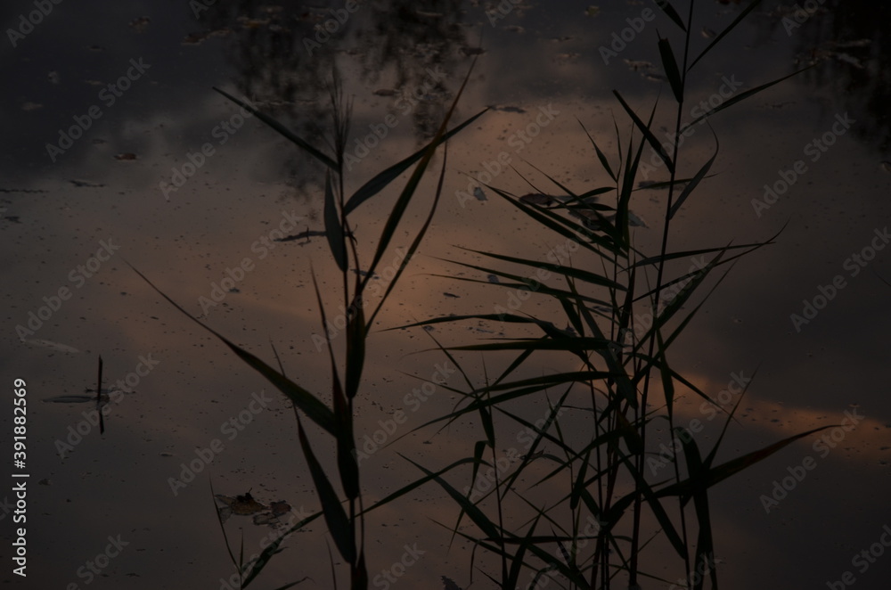 Fototapeta premium time lapse of clouds over the sunset