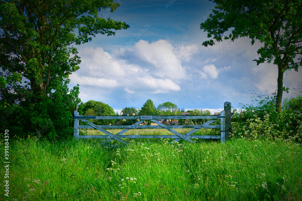 A farm gate amidst a field of wild flowers framed by trees against a backdrop of a fair weather cloudscape.