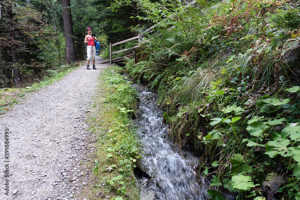 Wanderung auf dem Verdinser Waalweg zur Waalerhütte Wanderung auf dem Verdinser Waalweg zur Waalerhütte