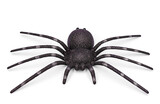 Halloween decoration with black fake glittering spider