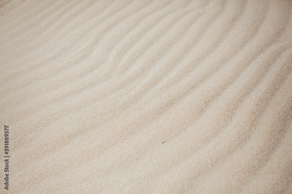 Sand texture. Sandy beach for background. Top view. Sand texture. Sandy beach for background. Top view.