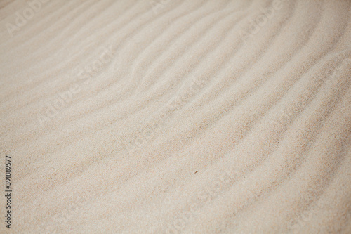 Sand texture. Sandy beach for background. Top view.