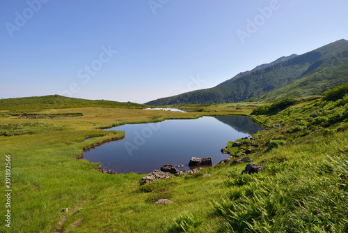 夏の沼ノ平（北海道・大雪山） 