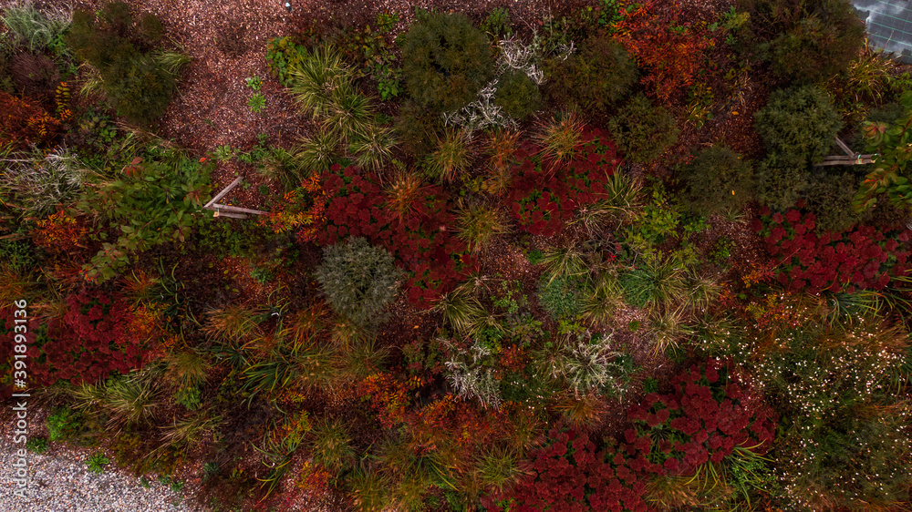 Abstract landscape, Aerial view of colorful fields. Pattern of flowers field. Autumn Abstract landscape, Aerial view of colorful fields. Pattern of flowers field. Autumn