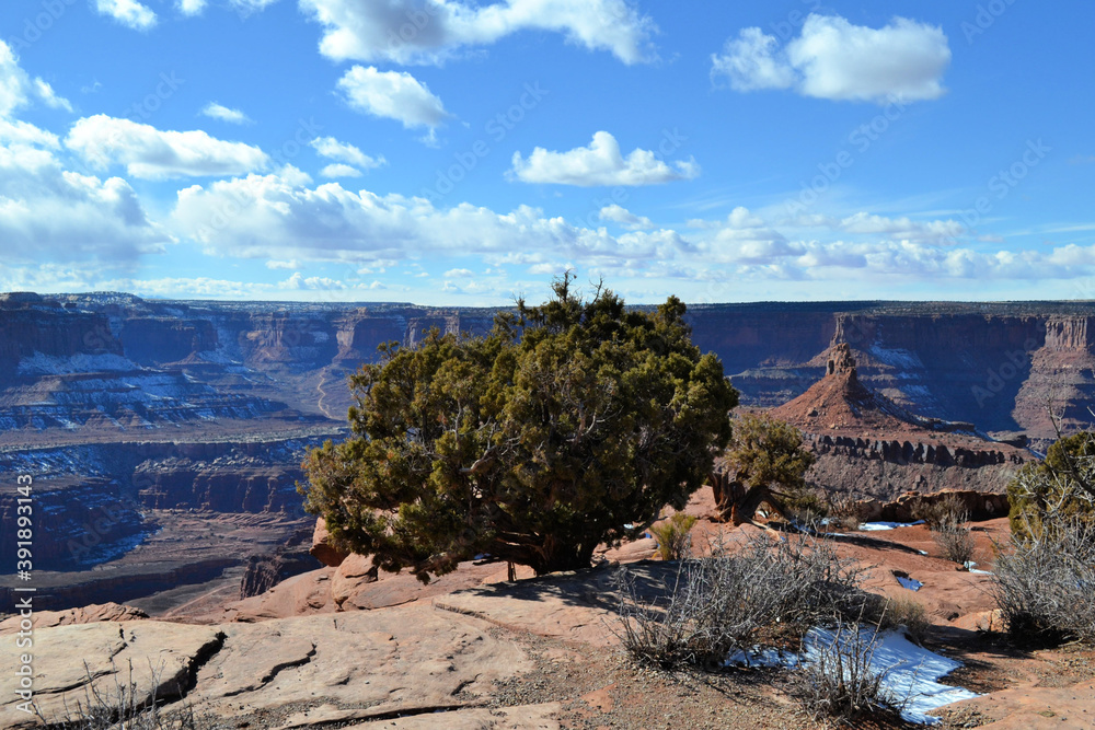 The three and the rocks, Canyonland National Park, Moab, Utah