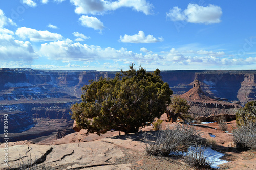 Obraz na płótnie The three and the rocks, Canyonland National Park, Moab, Utah w salonie