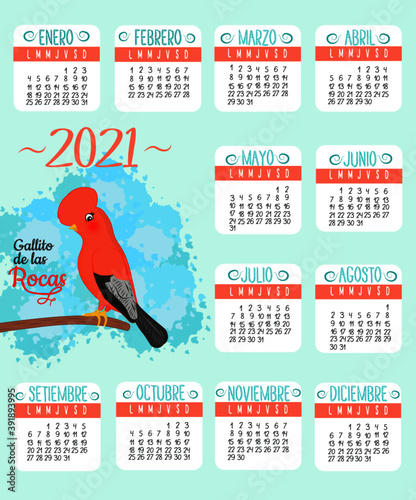 calendario de gallito de las rocas peru