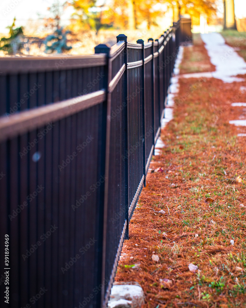 Black fence with pine needles in autumn Black fence with pine needles in autumn
