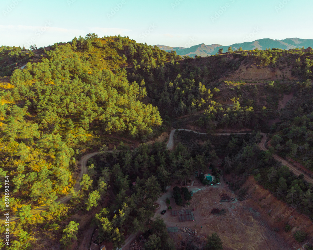 Obraz premium Forest house