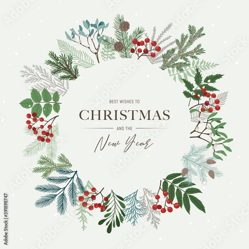 Christmas round frame with holly berries, mistletoe, pine and fir branches, cones, rowan berries. Xmas and happy new year postcard. Vector illustration, holiday invitation