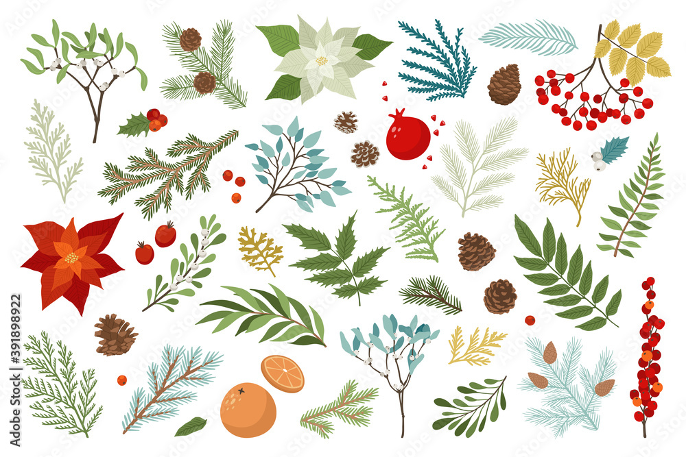Φωτογραφία Christmas plant and floral vector set include poinsettia, holly berries, mistletoe, pine and fir branches, cones, rowan berries