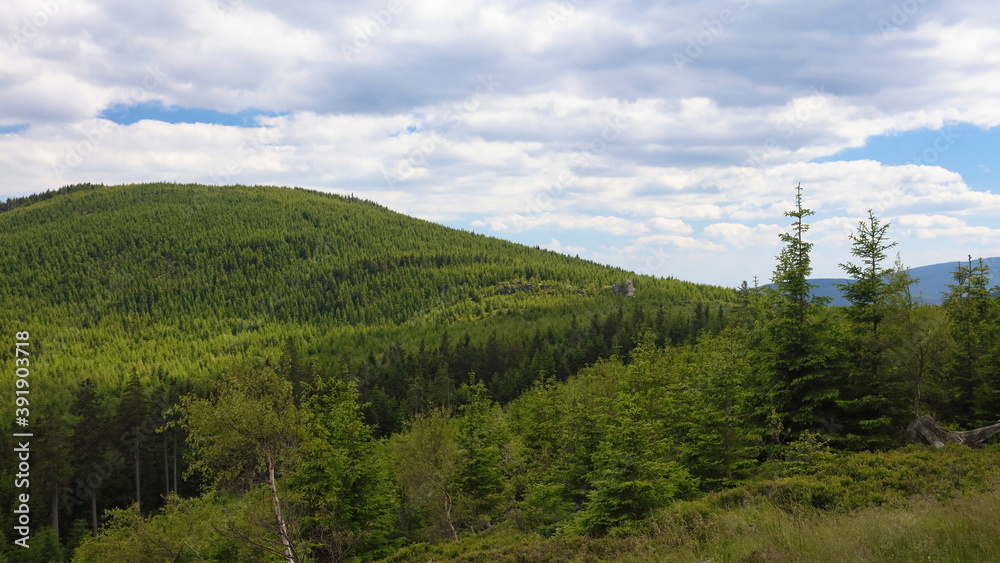 Landscape view of a hilly forest during a cloudy day, Jeseniky.