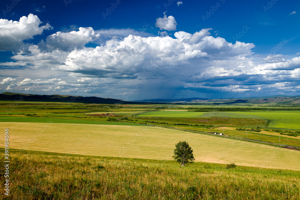 Fototapeta premium The summer prairie and cloudscape of Hulunbuir of China.