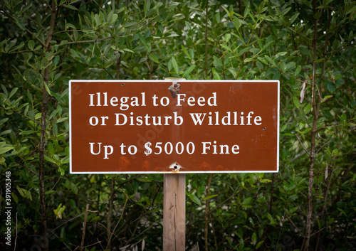 Illegal To Feed Wildlife Sign © kellyvandellen