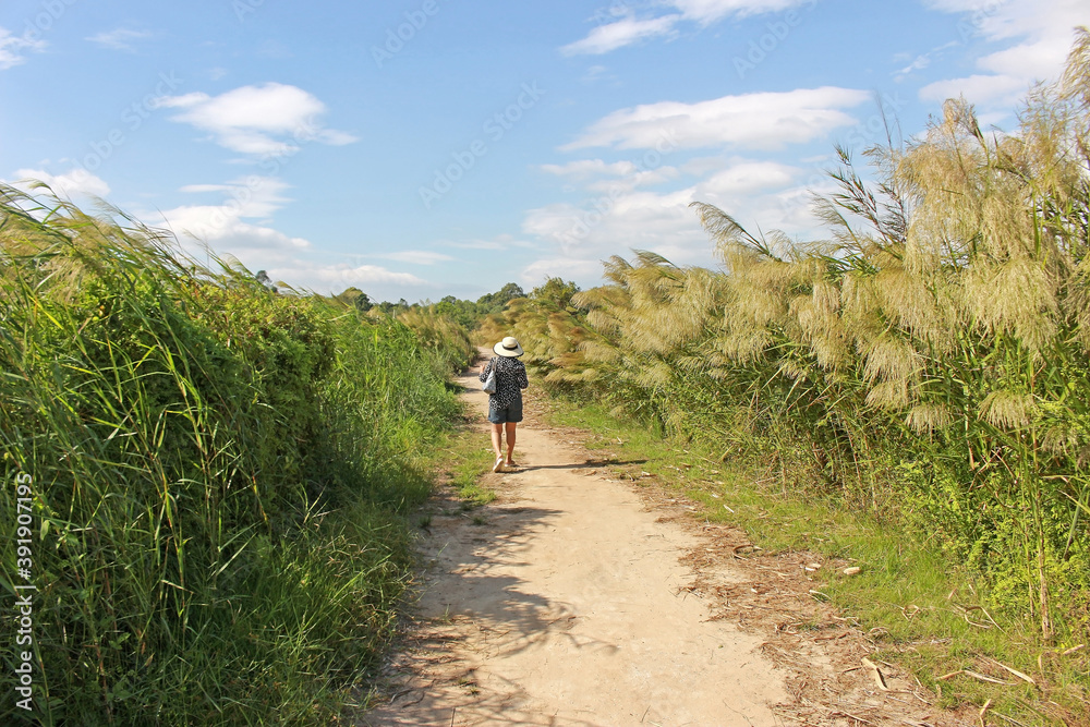 The back of a woman in a hat walking on a footpath with long green grass to one side and pampas to the other against a blue sky background