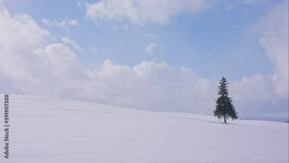 Falling snow in winter season with Christmas Tree
Falling snow in winter season with Christmas Tree