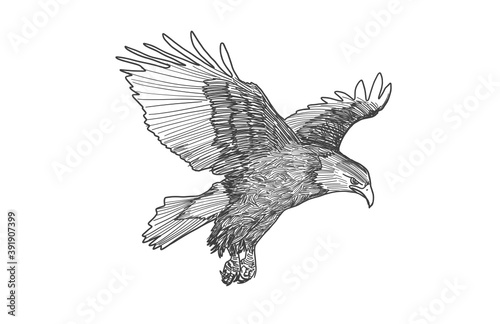 Eagle