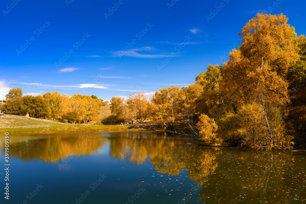 Autumn scenery in the park Autumn scenery in the park