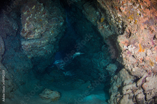 An underwater cave on the reef