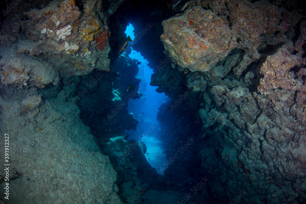 An underwater cave on the reef An underwater cave on the reef