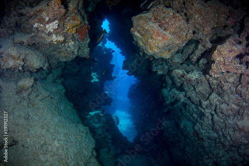 An underwater cave on the reef