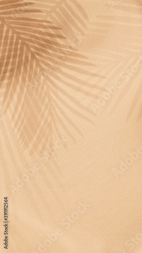 Palm leaves shadow on a beige background