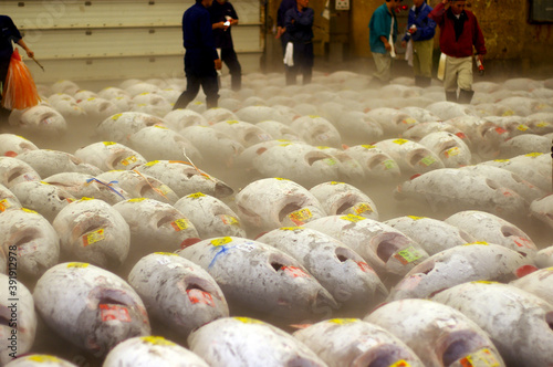 Canvas Print frozen tuna in fish market