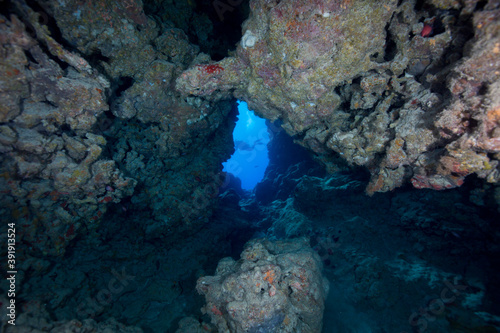 A diver swims through an underwater cave on the reef