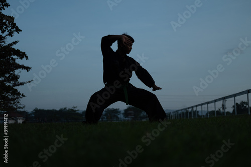 silhouette of male warrior with low stance movement on dark blue sky background photo