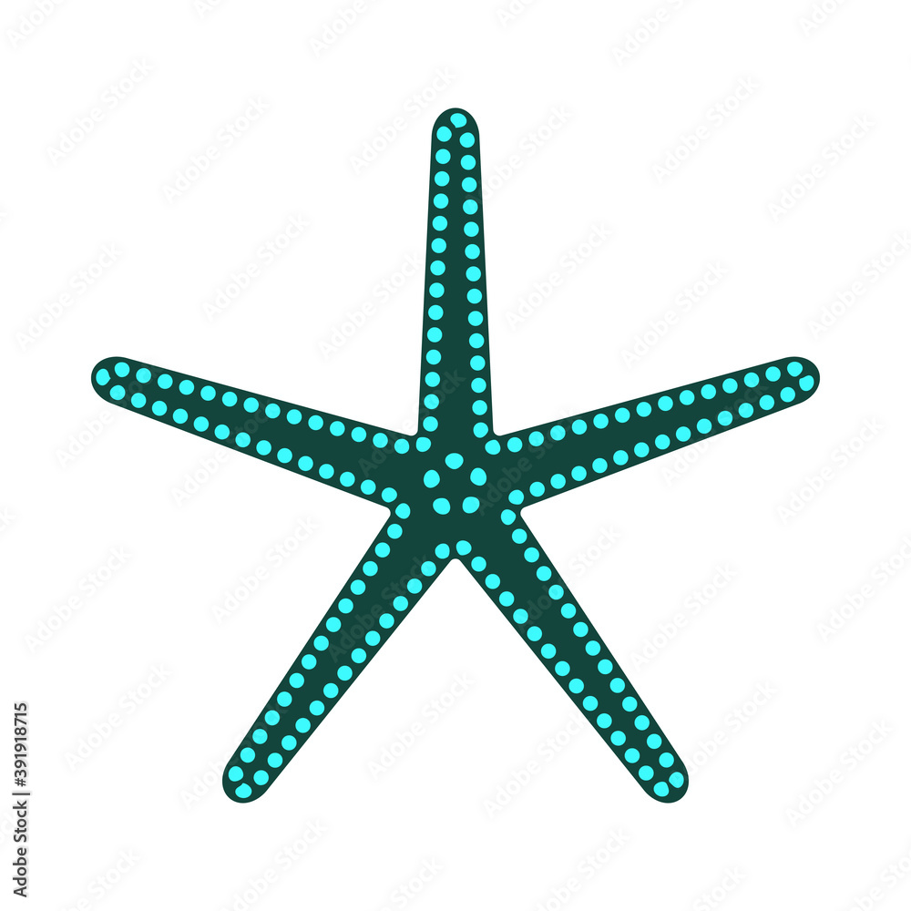 Starfish icon isolated on a white background. Element for your design works. Marine star icon in flat style. Vector illustration. Starfish icon isolated on a white background. Element for your design works. Marine star icon in flat style. Vector illustration.