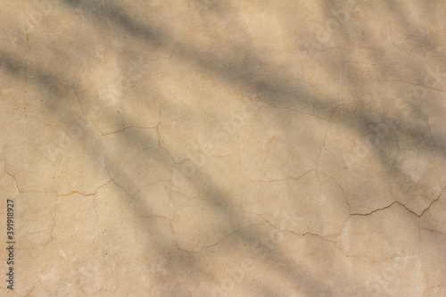 Full frame texture background of a weathered and cracked white beige stone wall with faint tree shadows