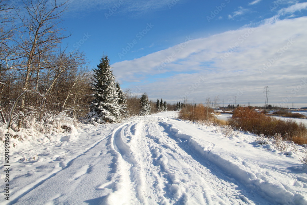 Snow On The Trail, Pylypow Wetlands, Edmonton, Alberta Snow On The Trail, Pylypow Wetlands, Edmonton, Alberta