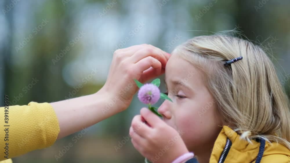 Portrait of a lovely little girl, clover flower in hair. cute girl 5 years old cunning eyes looking away with a smile look at camera. close up Shot video. Slow motion footage Portrait of a lovely little girl, clover flower in hair. cute girl 5 years old cunning eyes looking away with a smile look at camera. close up Shot video. Slow motion footage